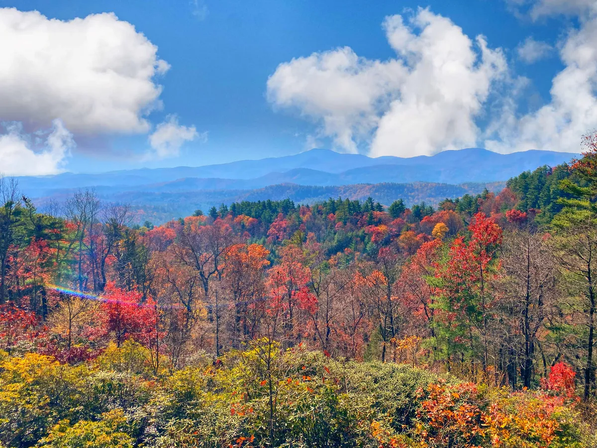 A panoramic view featuring vibrant fall foliage, distant rolling mountains, and a sky dotted with soft clouds. The landscape radiates tranquility, inviting thoughts of hiking, photography, and wildlife encounters. The colors suggest the perfect season for outdoor adventure and exploration.