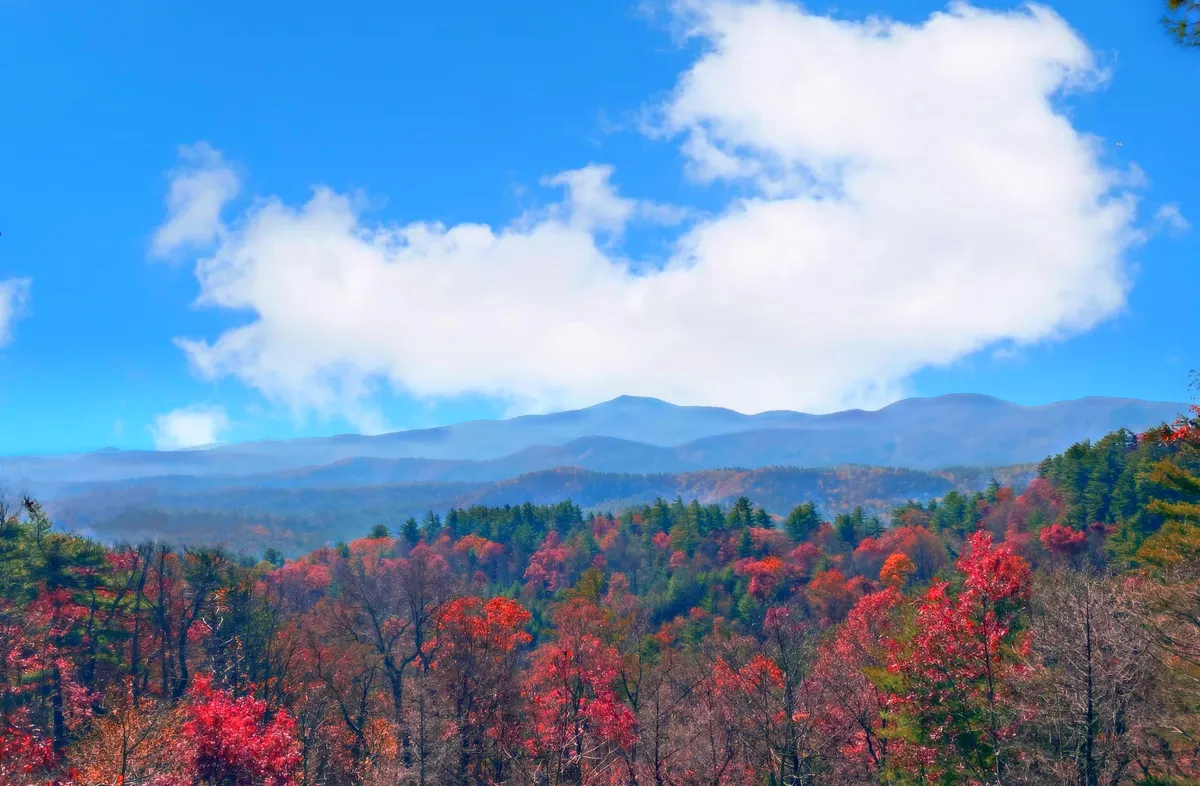 This image presents a sweeping view of vibrant autumn foliage set against a distant mountain range and expansive blue sky. It conveys the beauty of the natural surroundings available for invigorating walks and moments of reflection, aligning perfectly with the section’s promise of inspiration and outdoor adventure.